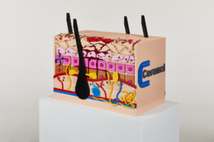 modello pelle lego
