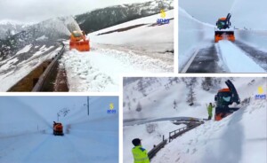 neve anas gran san bernardo