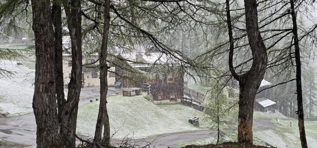 neve oggi livigno