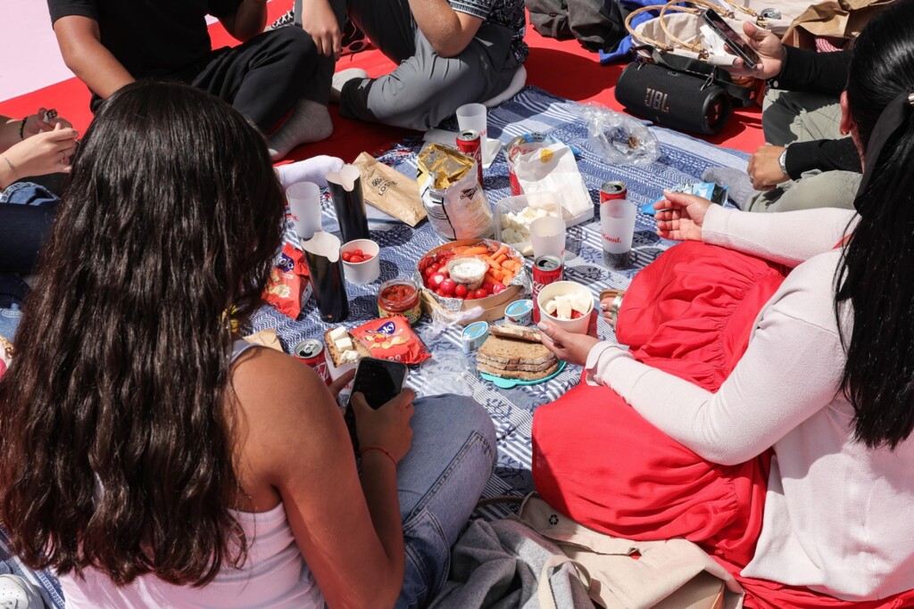 picnic Champs Elysees parigi
