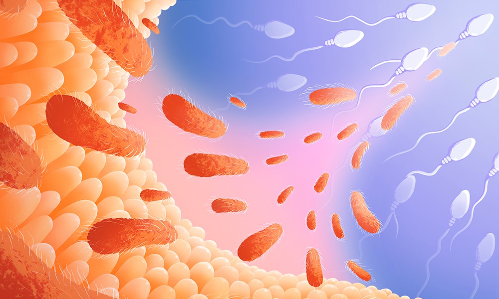 microbiomi