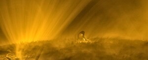 sole solar orbiter