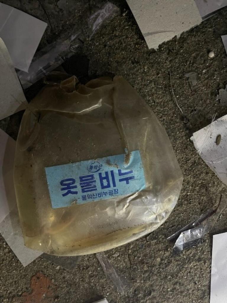 spazzatura corea nord sud