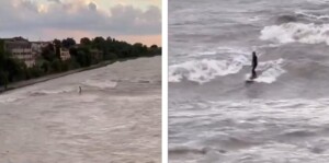 surf brenta
