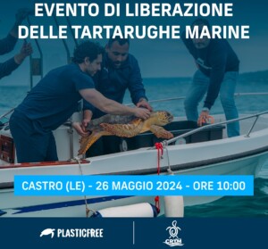 tartarughe salento