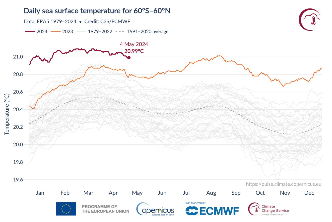 temperatura superficiale mare