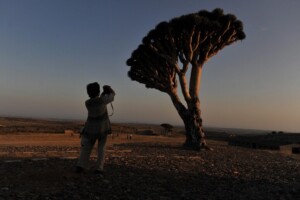 yemen