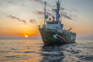 arctic sunrice greenpeace