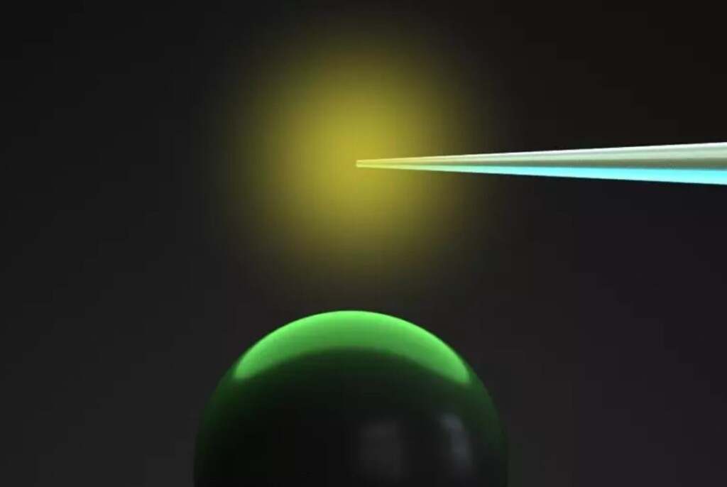 cellula sintetica con funzione vitale