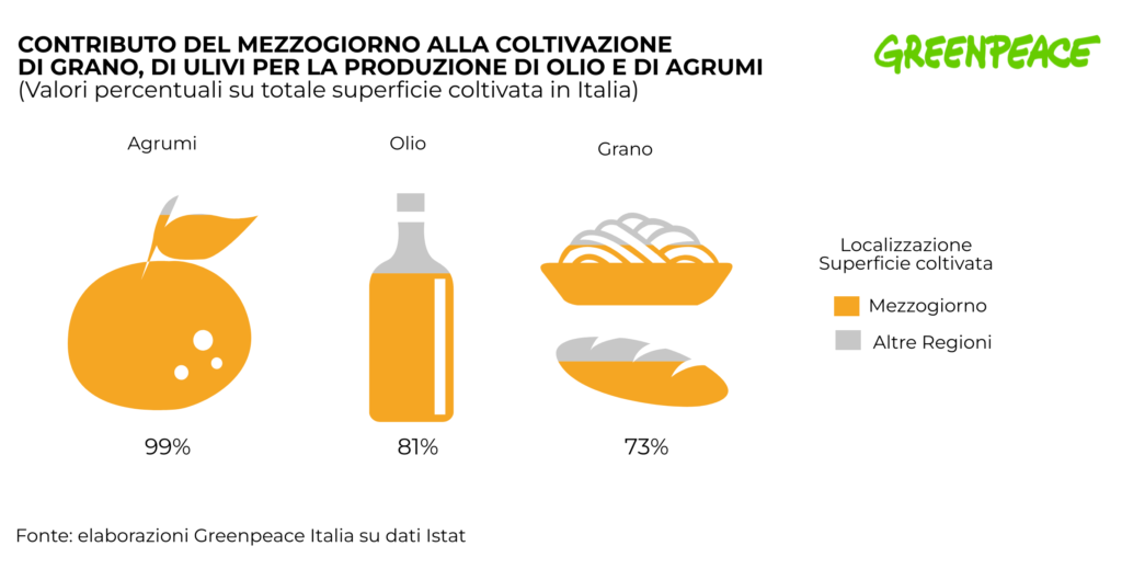 giornata desertificazione greenpeace