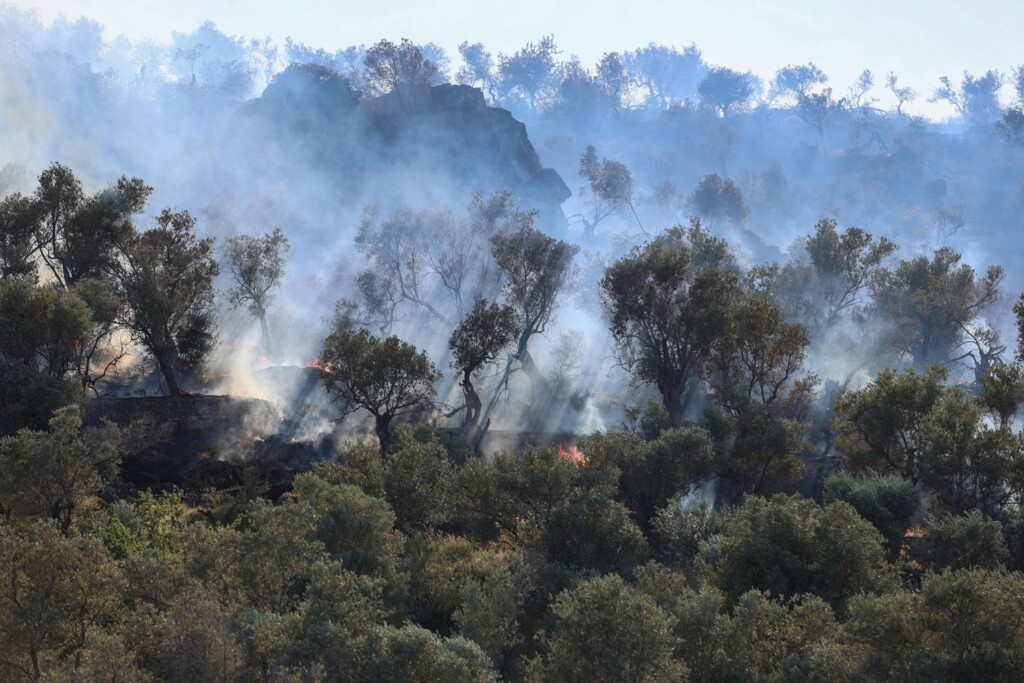incendi grecia