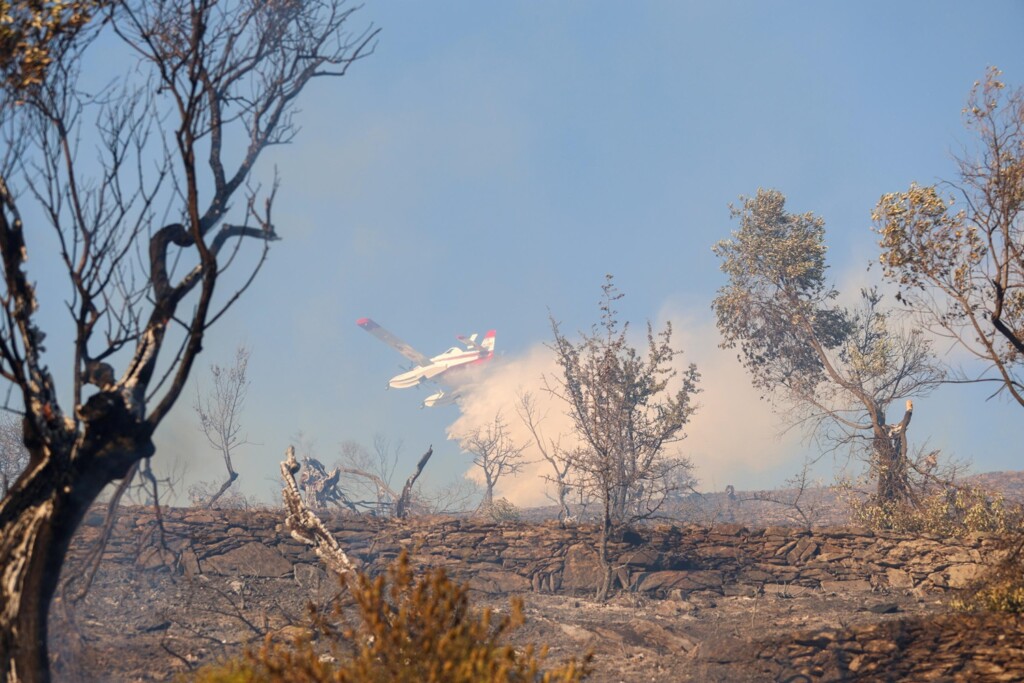 incendi grecia