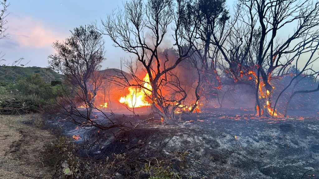 incendio messina