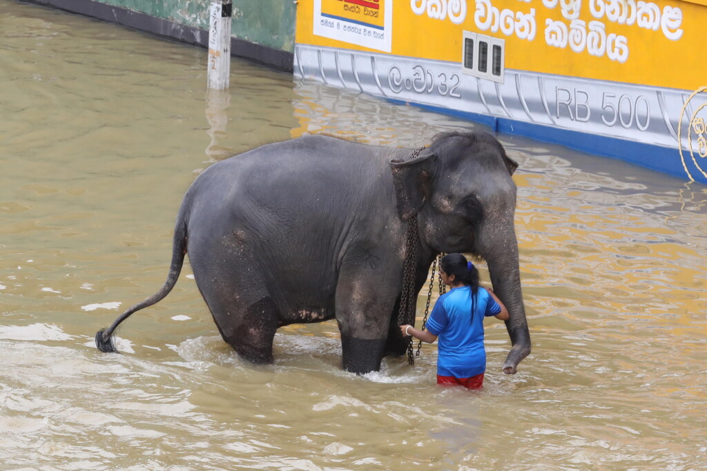 inondazioni sri lanka