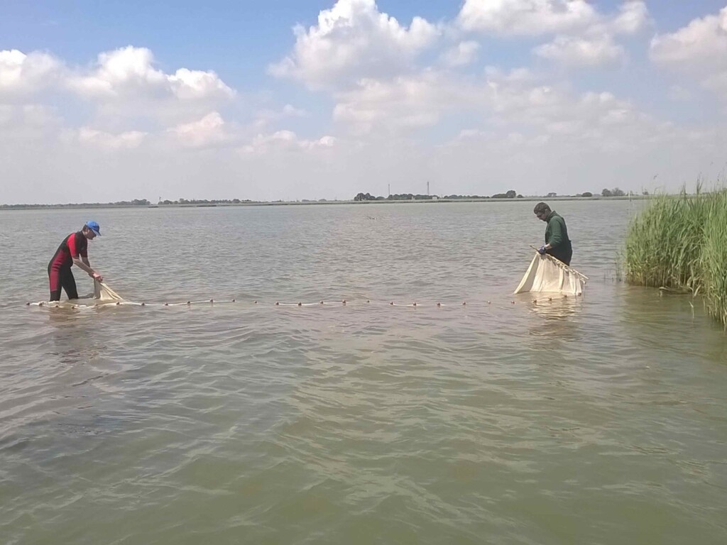 laguna di grado