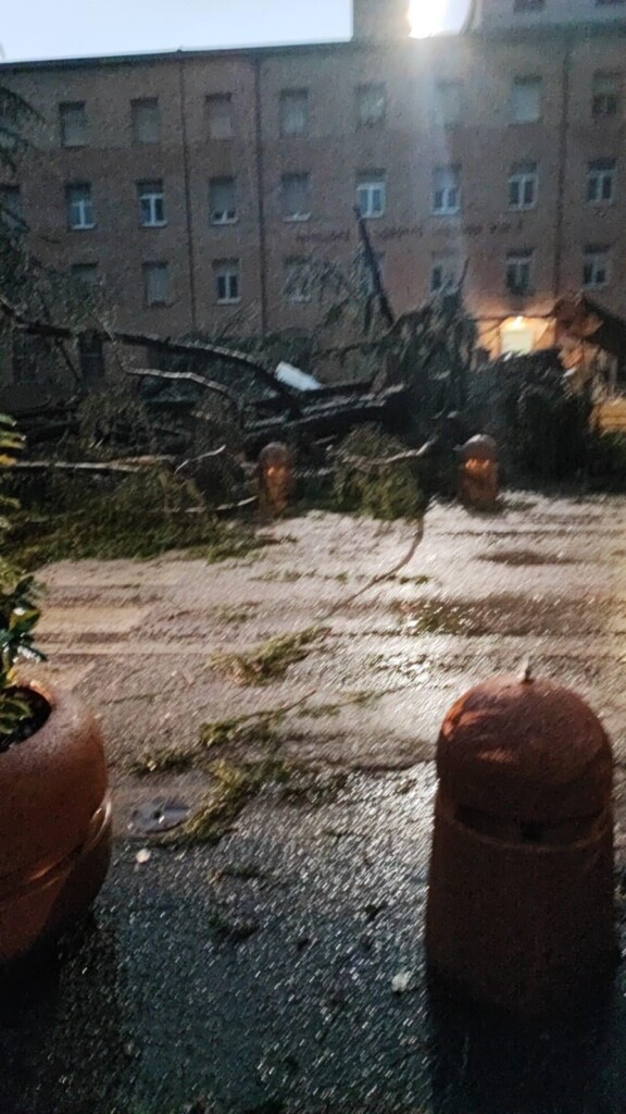 maltempo udine friuli venezia giulia