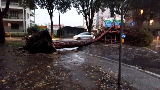 maltempo udine friuli venezia giulia