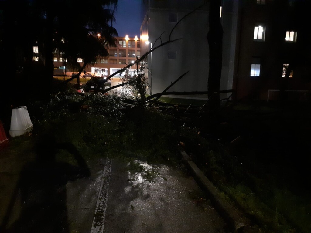 maltempo udine friuli venezia giulia