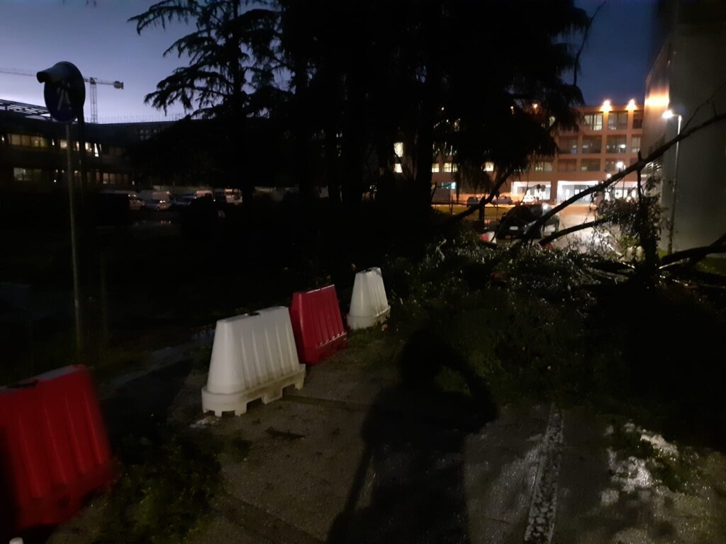maltempo udine friuli venezia giulia
