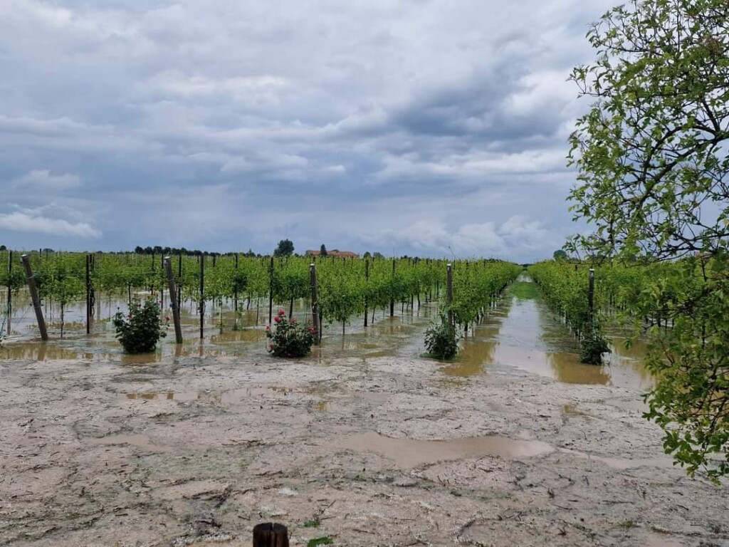 maltempo veneto