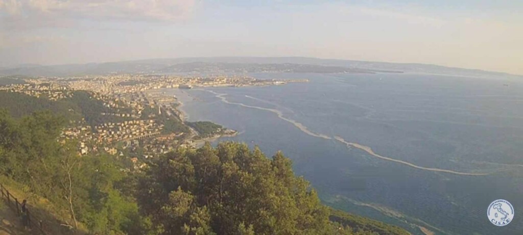 mucillagini trieste
