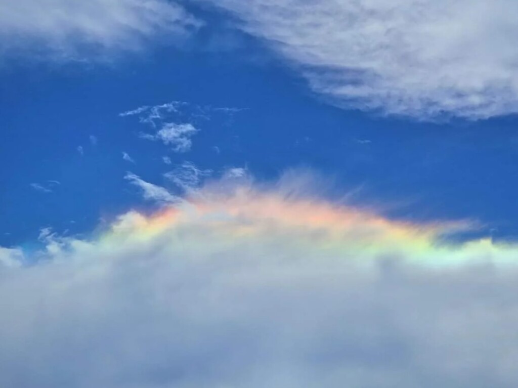 nubi iridescenti lignano