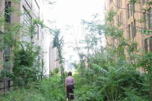 parco high line