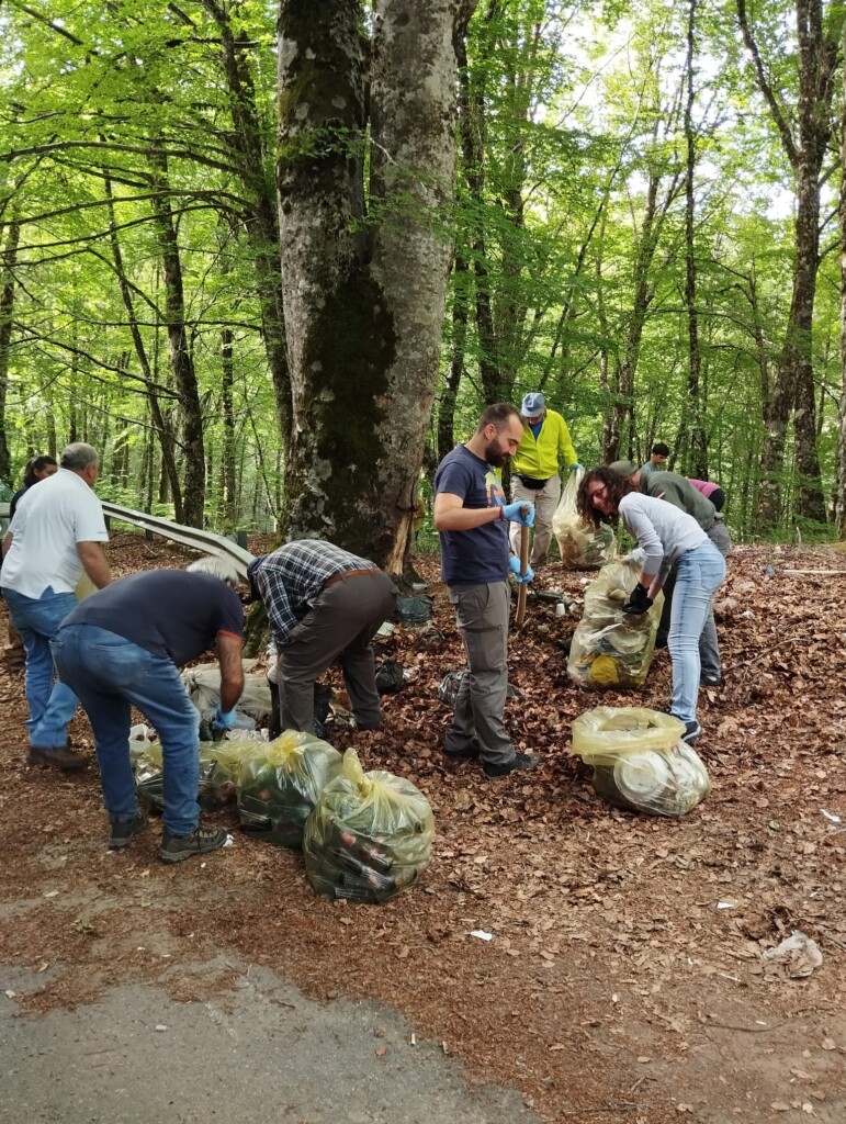 pulizia montagna reggio calabria
