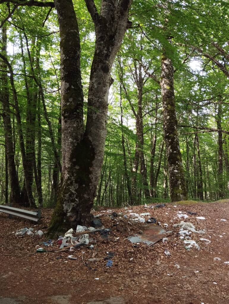 pulizia montagna reggio calabria