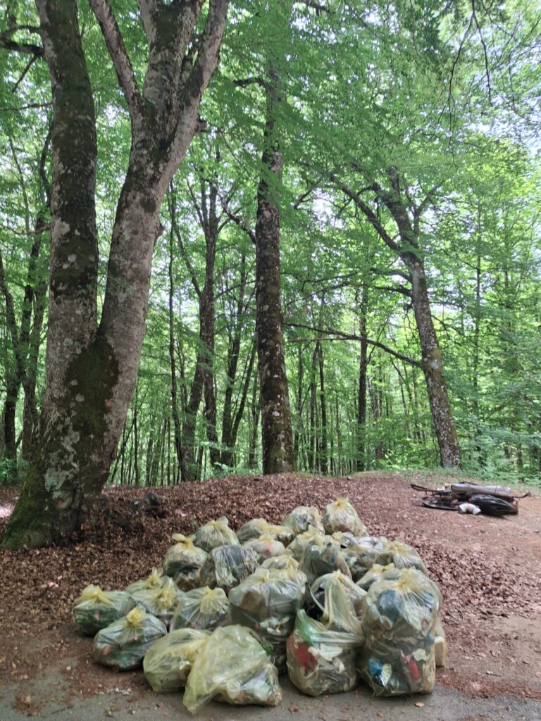 pulizia montagna reggio calabria