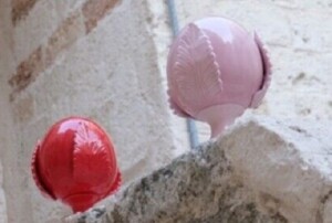 pumo puglia