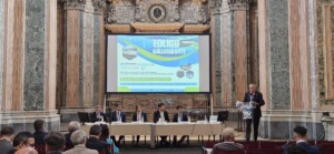 rinnovabili eolico offshore
