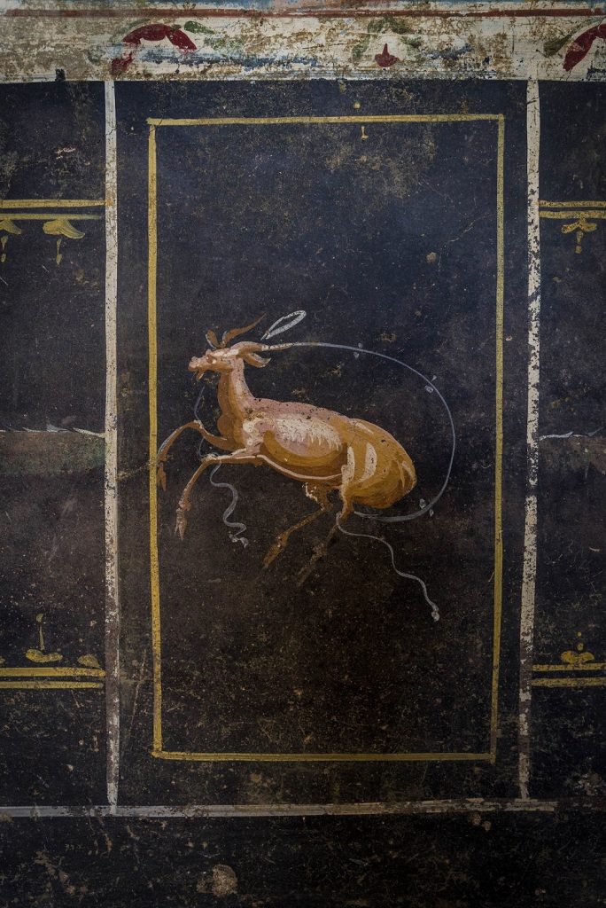 scoperta pompei