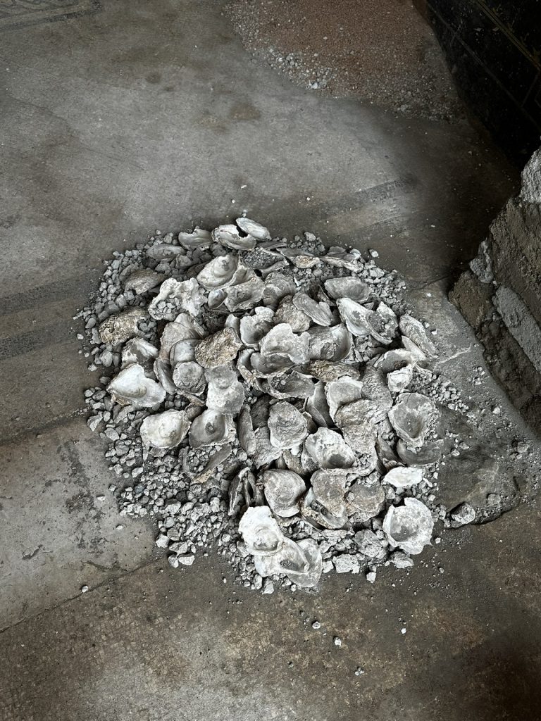 scoperta pompei
