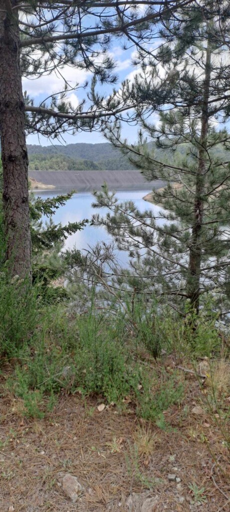siccità diga del menta fine giugno 2024
