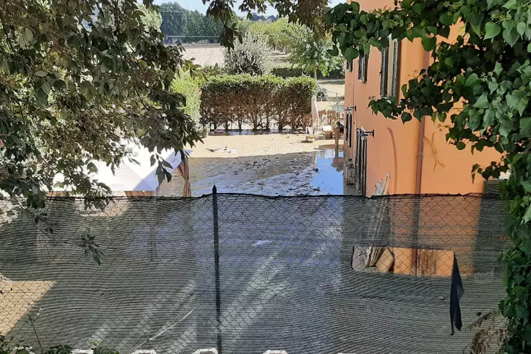 alluvione marche