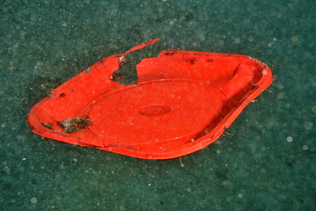 fondale marino