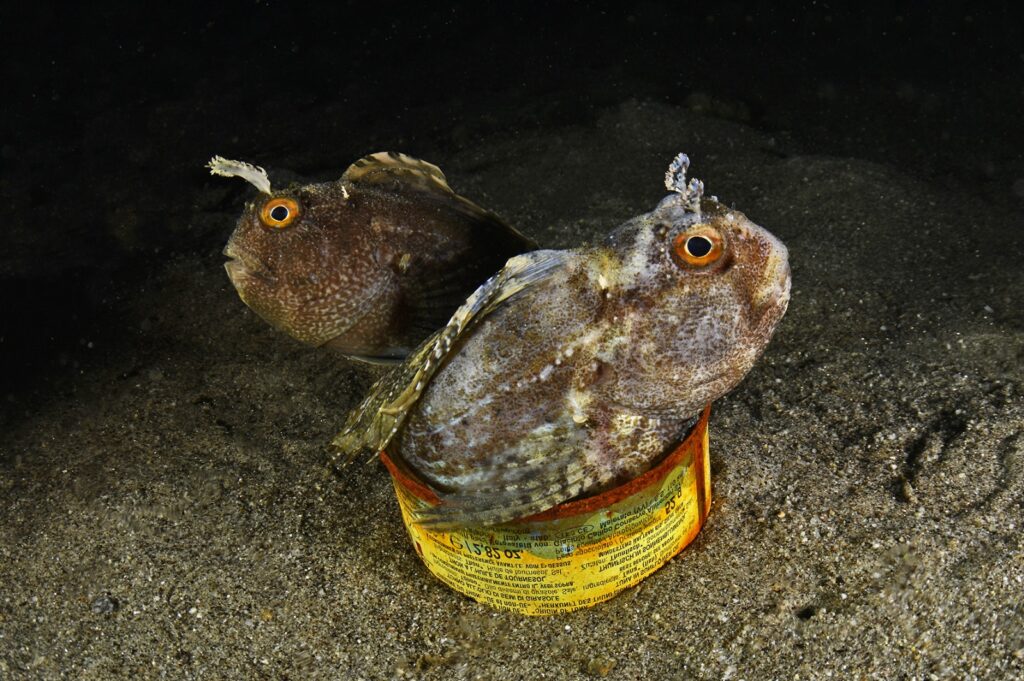 fondale marino