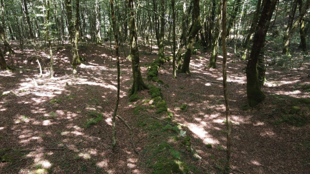 aspromonte antiche mura romane