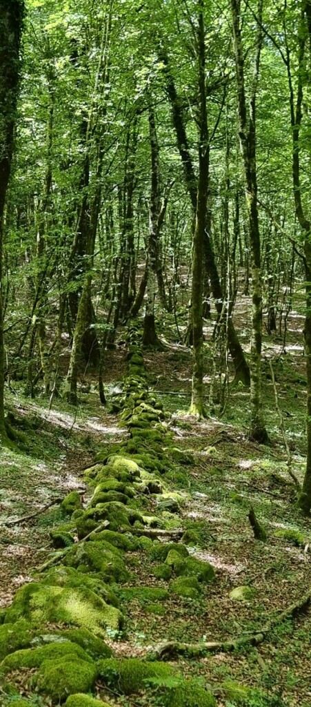 aspromonte antiche mura romane