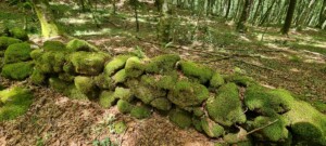 aspromonte antiche mura romane