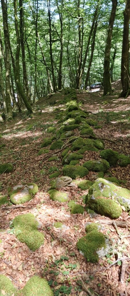 aspromonte antiche mura romane