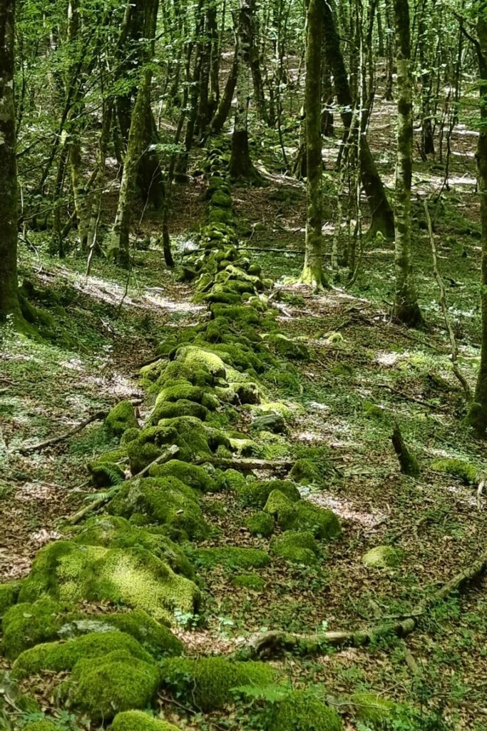 aspromonte antiche mura romane