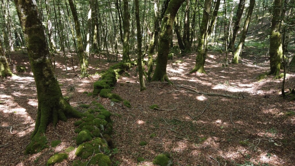aspromonte antiche mura romane
