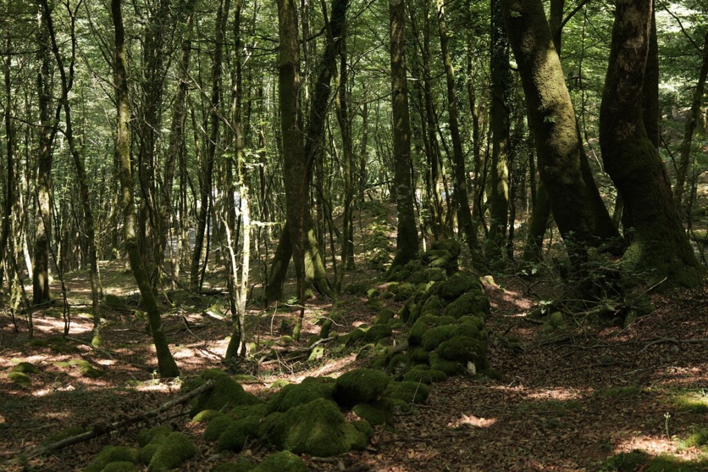 aspromonte antiche mura romane