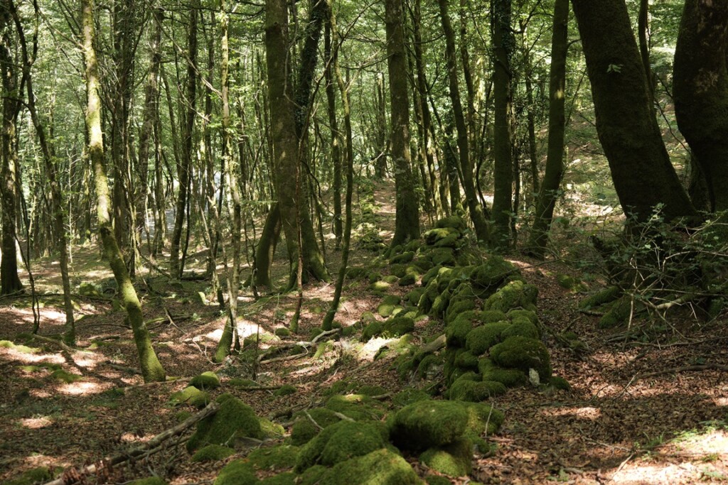 aspromonte antiche mura romane