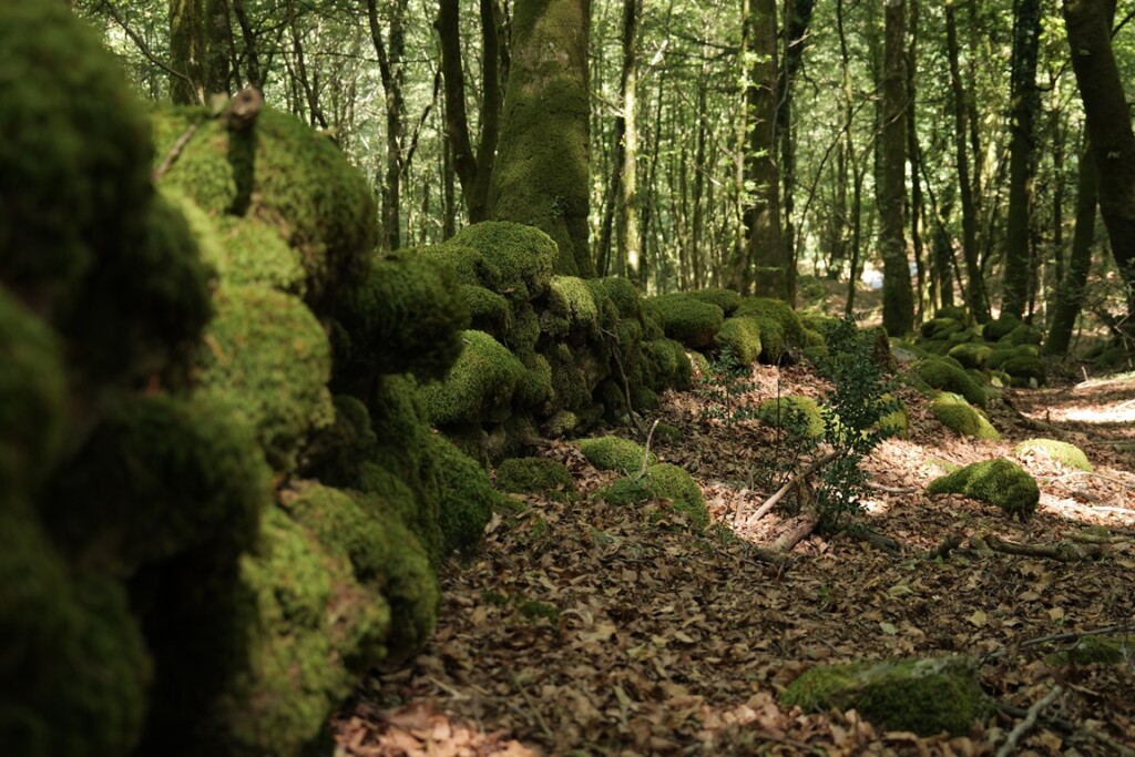 aspromonte antiche mura romane