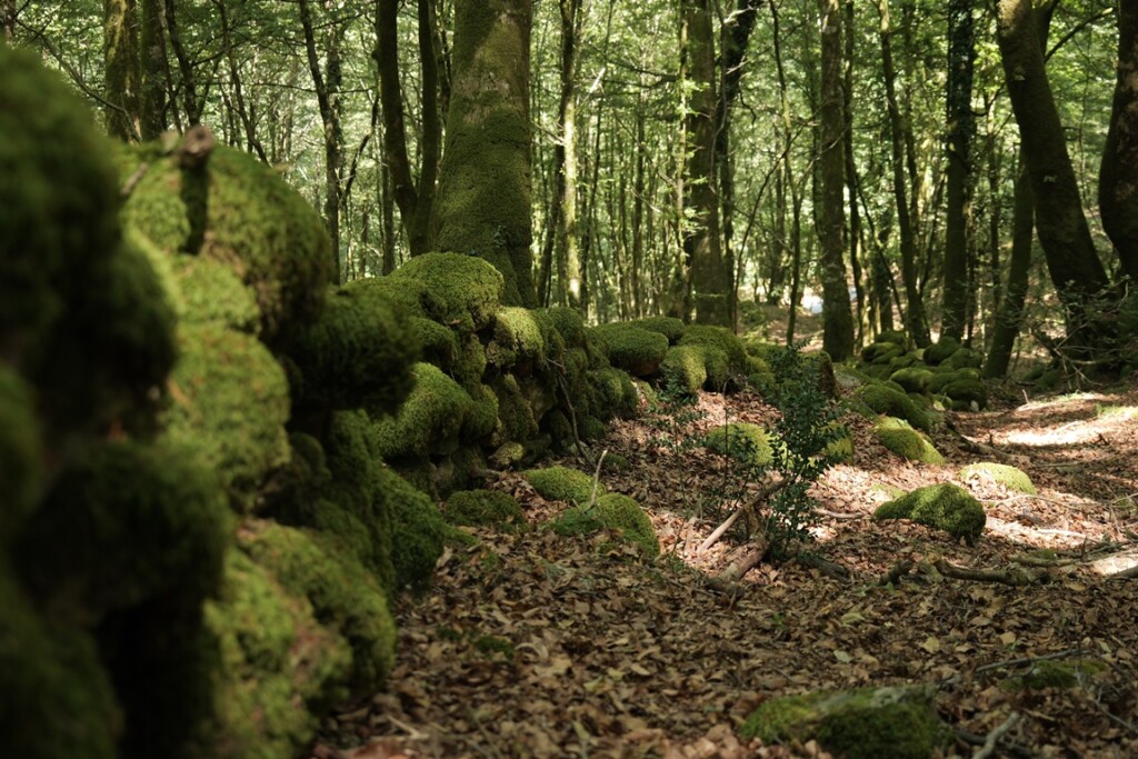 aspromonte antiche mura romane