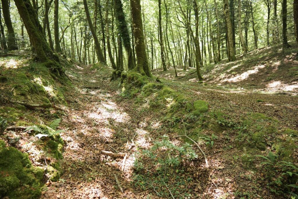 aspromonte antiche mura romane