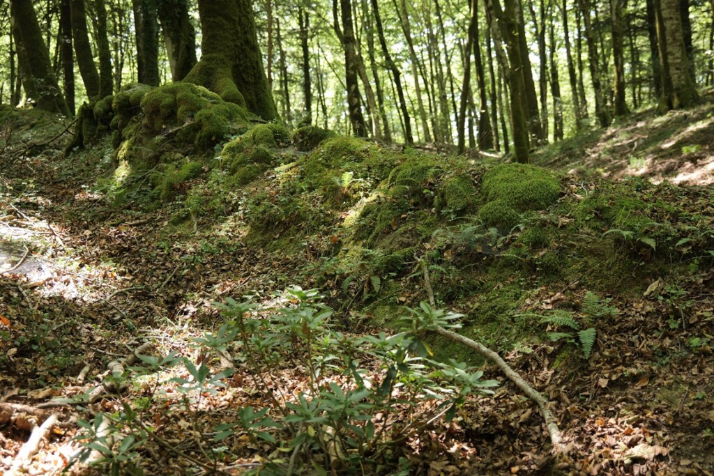aspromonte antiche mura romane